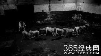 人体蜈蚣3 在线观看,惊悚悬疑，生死较量