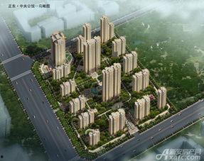 正东中央公馆新闻爆料视频